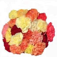 Purple and white carnation centerpieces or bouquets 2. Wedding Flower Favorites Carnations Blooms By The Box