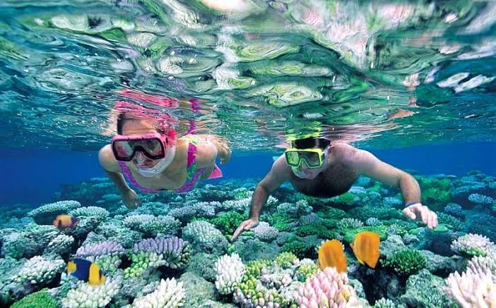 Pantai Sadranan Snorkeling