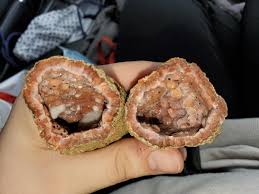 Maybe you would like to learn more about one of these? Crystal My Brother Found That Kinda Looks Like A Bean Burrito Mildlyinteresting