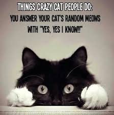 Things Only Cat Owners Will Understand Morning Quotes Funny Funny Good Morning Memes Good Morning Beautiful Quotes