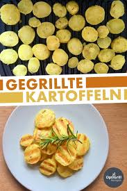 Pin Auf Gemuse Grillen Mit Dem Optigrill