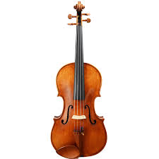 Image result for Viola