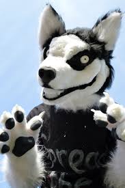 Smile Dog Fursuit Fursuit Smiling Dogs Fursuit Furry