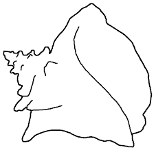 Free Printable Seashell Coloring Pages For Kids Coloring Pages Coloring Pages For Kids Animal Coloring Pages