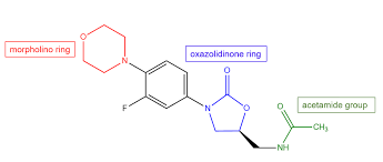 Image result for Linezolid