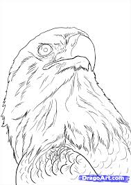 How To Draw Eagles Draw Bald Eagles Step By Step Birds Animals Free Online Drawing Tutorial Added By Neekonoir Eagle Drawing Eagle Painting Eagle Sketch