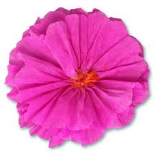 Hours may change under current circumstances Mexican Paper Flowers Fiesta Party Supplies