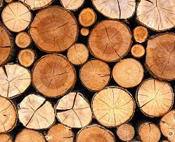 Most of the timber used from the tropical forests is hardwood. Timber And Related Products Demajo Timbers