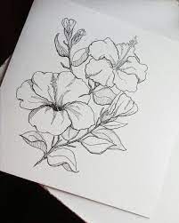 Hibiscus Art Hibiscus Drawing Flower Art Flower Drawing Flower Art Hibiscus Drawing