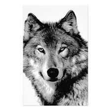 Black wolf, illustration, vector on white background. Black And White Wolf Pictures Posted By Ryan Anderson