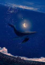 Pin By Kara Linny On Illust Animation Art Whale Art Anime Scenery