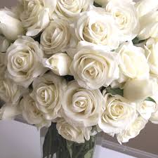 Please do not forget to share this article on social networking sites. Free Photo White Flowers Black Flower Flowers Free Download Jooinn