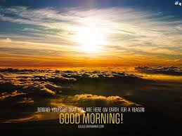 A common expression used to celebrate the end of the working week. Tgif Thank God It S Friday Chase N Chance Ranch