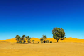 Join facebook to connect with kamel kamel saida and others you may know. Bilder Sahara Im Norden Afrikas Franks Travelbox
