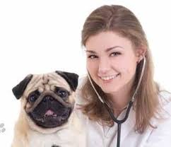 Shelby Living, May/June 2024 by Shelby County Newsmedia, Inc.