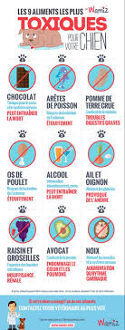 Les 9 Aliments Les Plus Toxiques Pour Votre Chien Alimentation Chien Recettes De Nourriture Pour Chien Nourriture Chien