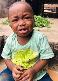 My landlord always speaking in parables, he said "If you smart, u will not  be paying rent here" What does that mean?