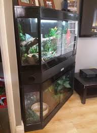 Corner Style Enclosure Reptile Room Snake Enclosure Reptile Terrarium