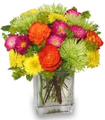 We would like to show you a description here but the site won't allow us. About Us Park Floral Company Bronx Ny