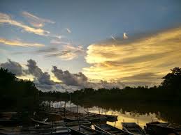 Kuala sepetang fishing village river cruise hd. Kelip Kelip Kampung Kuantan Firefly Park Kuala Selangor Traveller Reviews Tripadvisor