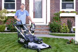 They are owned by a bank or a lender who took ownership through foreclosure proceedings. Plucking Blades By Hand Vacuuming The Grass This Is Extreme Lawn Care Wsj