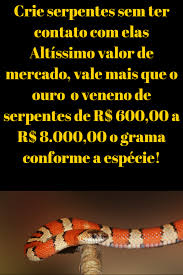 Gestao Comercial De Serpentario Gestao Comercial De Serpentario Serpente Curso Gestao Comercial Cobra Serpente