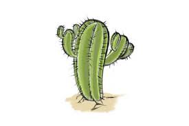 Cute valentine drawing | step by step teddy bear drawing. Cactus Drawing Simple Easy Realistic And With Flower