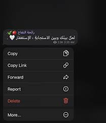 استغفرالله واتوب اليه calligraphy quotes love pretty quotes quran quotes