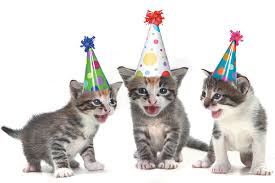 There are many fun, festive ways to show your cat you care. How To Throw A Birthday Party For Your Cat Catster