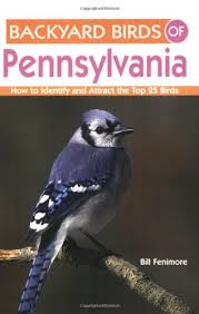 The pennsylvania game commission, as an independent agency of the commonwealth, has jurisdiction over and management responsibility for all wildlife in pennsylvania. Backyard Birds Of Pennsylvania How To Identify And Attract The Top 25 Birds Fenimore Bill 9781423603504 Amazon Com Books
