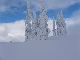 Winter Fun At Sea To Sky Gondola In Squamish, British Columbia