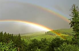 Die richtige reihenfolge der regenbogenfarben ist eine wesentlich kniffligere frage. Kinderwissen Faszinierendes Phanomen Wissen Stuttgarter Zeitung