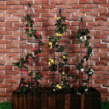 48 h x 11 w x 8 d. 1 Go 3 Piece Garden Steel Obelisk Trellis Wayfair