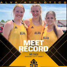 Profile for Alva Goldbug Runners