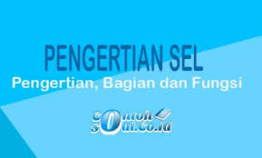 We did not find results for: Pengertian Sel Struktur Fungsi Bagian Sel Hewan Dan Sel Tumbuhan