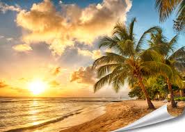 Huge collection, amazing choice, 100+ million high quality, affordable rf and rm images. Pmp 4life Wall Art Beach In Barbados At Sunset Hd Mural Xxl Poster 55 Inch X