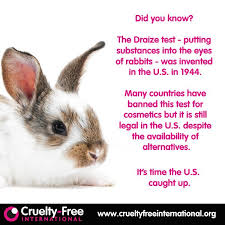 Pin On Animal Testing Facts