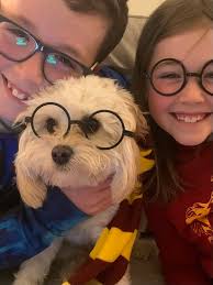 PJ Shevlin (@ShevlinPJ)