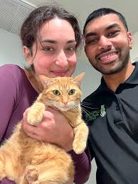 Kitten play dates in Marina del Rey?