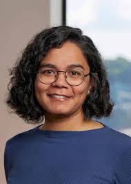 UT Dallas Professor Honored as Fellow of the National Academy of Inventors