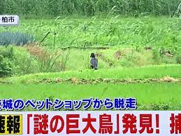 このアカウントには、性的興奮を催すリンクや破廉恥な画像を多数含みます。 もし嫌悪感を感じたらミュートないしはブロック下さい。 #uncensored #無修正 #pornstar #av女優. Hbsnhnathefkbm