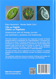 What is the role of cilia and flagella. Cilia And Flagella Ciliates And Flagellates Ultrastructure And Cell Biology Function And Systematics Symbiosis And Biodiversity Hausmann Klaus Radek Renate Amazon De Bucher