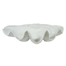 For this reason, softshell clams have a shorter shelf life than their closed, hardshell cousins. Clam Shell By Searles Homewares Zanui
