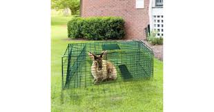 If you are sure that your bunny has been lost inside the house, then follow the tips. Dick Smith Humane Live Animal Trap Possum Rat Rabbit Hare Catcher Folding Cage Pet Supplies Trackers