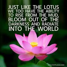 Choose To Be Like The Lotus And Radiate Your Light Into The World Peace Joy And Love To You All Yogainspirati Lotus Flower Quote Lotus Quote Flower Quotes