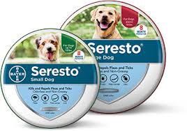 Unlike other flea collars that smell more like strong chemicals, the seresto dog collars are. Seresto Flea Tick Collar For Dogs Up To 18 Lbs 1 Collar 8 Mos Supply Chewy Com