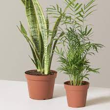 Maybe you would like to learn more about one of these? Shop Modern Decor More Home Accessories Dwell