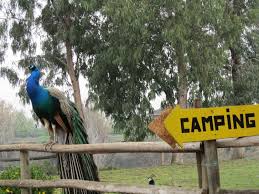 3,795 likes · 29 talking about this · 702 were here. Camping Laguna Esmeralda Melipilla