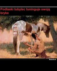 Mem Memy Funny Zabawnie Zart Meme Polandmemes Suchar Zabawne Memownie Pomesku Zabawa Dankmeme Czarnyhumor H Funny Memes Dark Humor Laugh Or Die