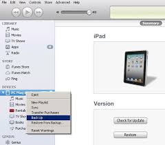 How To Back Up And Organize Photos From Your Iphone Or Ipad Icloud Itunes Ipad Mini